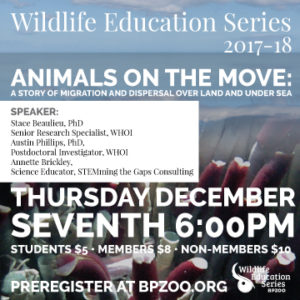 Wildlife Education Series - Animals on the Move: A Story of Migration and Dispersal Over Land and Under Sea @ Buttonwood Park Zoo | New Bedford | Massachusetts | United States