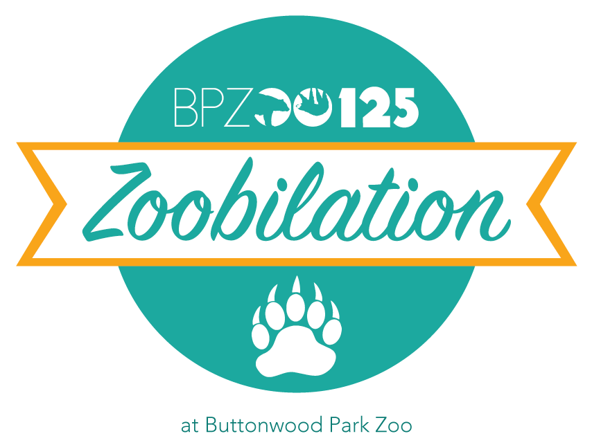 Zoobilation 125th Anniversary Celebration Destination New Bedford